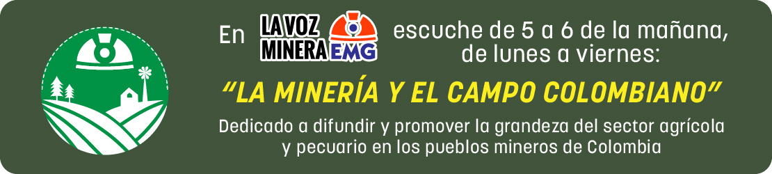 La Minería y el Campo Colombiano